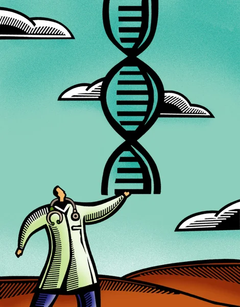 Dottore in possesso di un paio di DNA doppia elica — Foto Stock