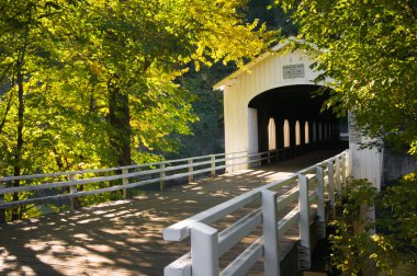 Goodpasture covered bridge in fall clipart