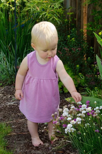 Toddler in pink picking flowers — Stock Photo, Image