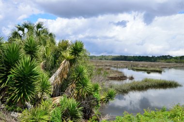 Stormy skies over Borrell Creek clipart