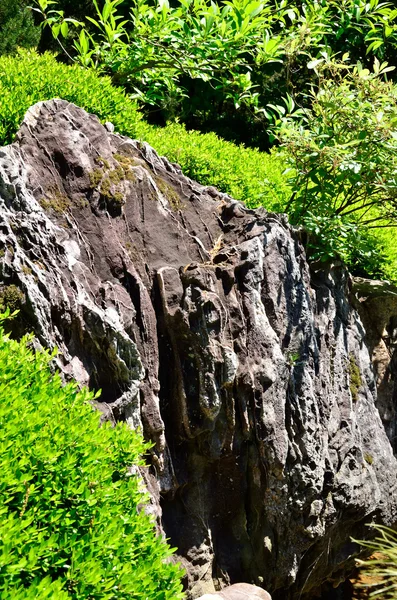 岩石花园 — 图库照片