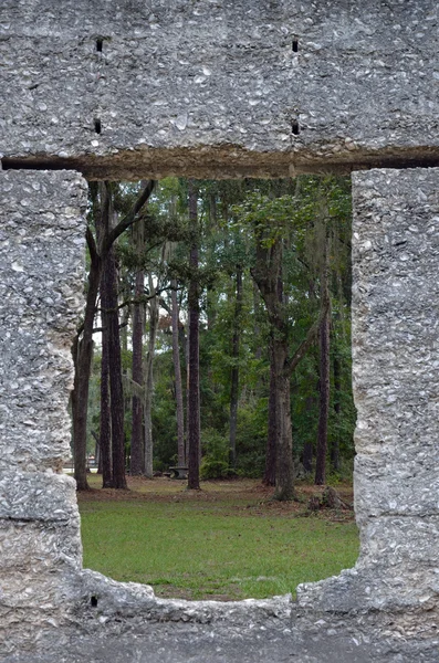 Looking through the tabby ruins — Stock Photo, Image