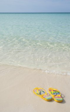 A PAIR OF FLIP FLOPS ON THE BEACH SAND IN FRONT OF WATER clipart