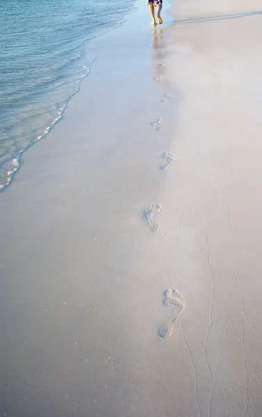 海岸を歩いている男が ストックフォト