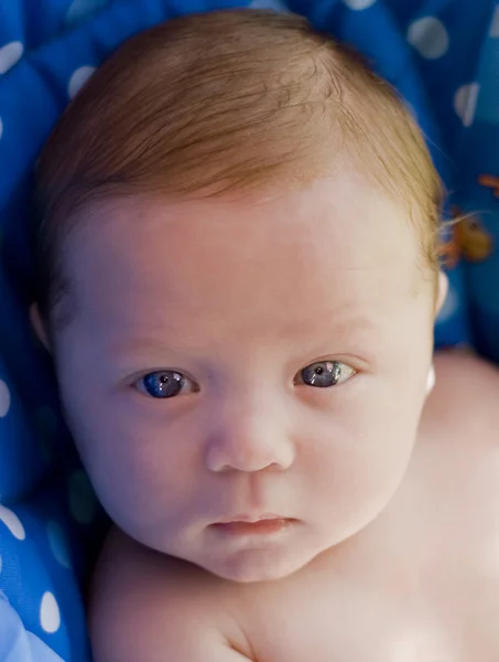 Kisfiú a kék szeme néz a kamerába — Stock Fotó