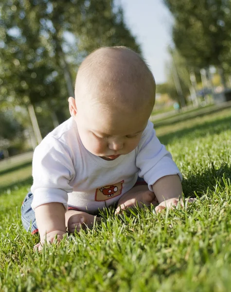 Baby sitting on grass playing — Stock Photo, Image