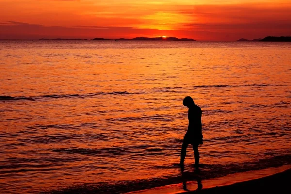 stock image Beautiful sunset over the sea