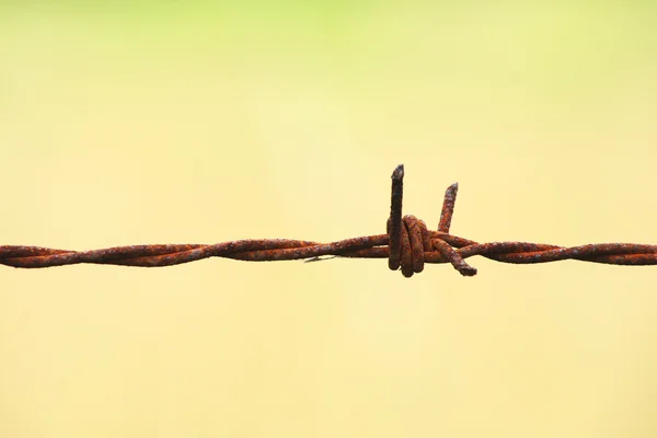 stock image Barb Wire