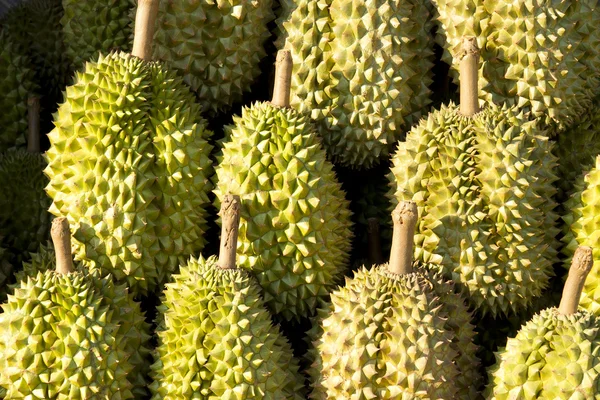 Durian, kung av frukt, frukt i thailand Royaltyfria Stockbilder