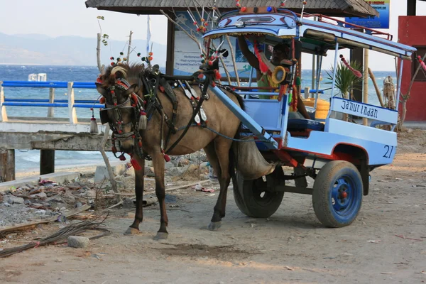 Kutsche auf der Insel Gili, Indonesien — Stockfoto