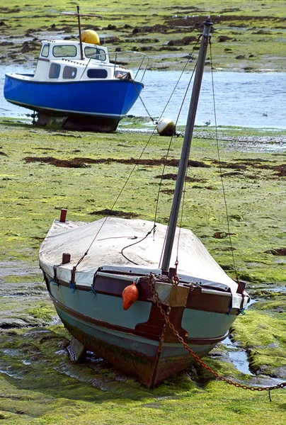 stock image Low Tide