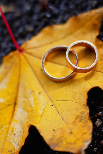 Anéis de casamento em uma folha amarela — Fotografia de Stock