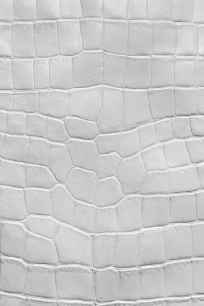 Crocodile Pattern Stock Photos, Royalty Free Crocodile Pattern Images 