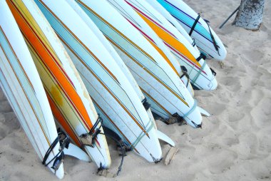 Waikiki Surf Boards clipart