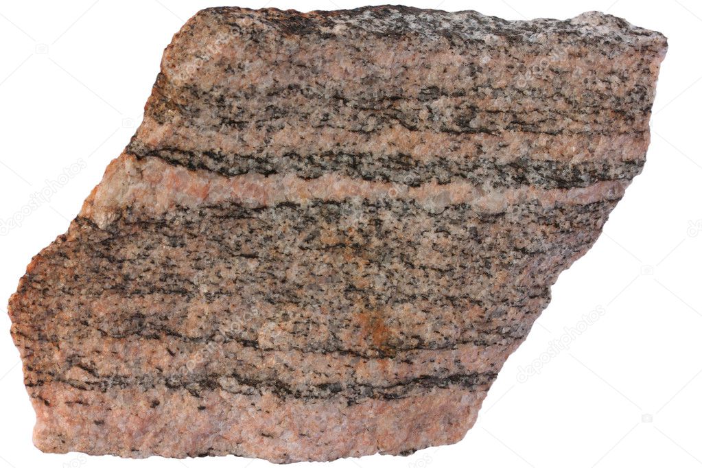 Banded metamorphic rock gneiss from Karelia