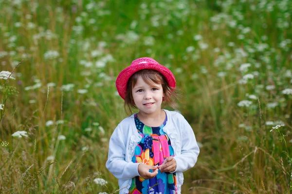 Adorable toddler girl in a meadow — Stock Photo, Image