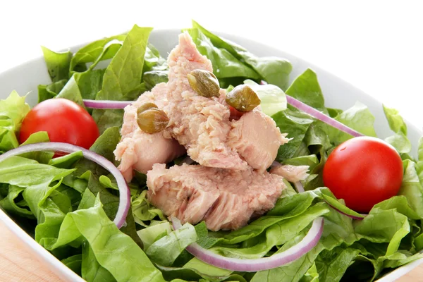 Gemischter Salat mit Thunfisch, Zwiebeln und Tomaten — Stockfoto