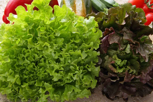 Meng groene einde rode salade — Stockfoto