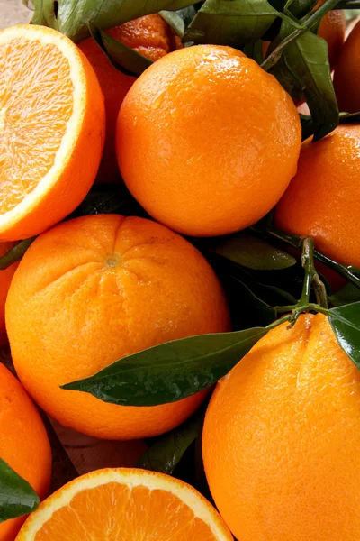 Owoce skład odrobina cytryny pomarańczowy koniec mandarynka — Zdjęcie stockowe