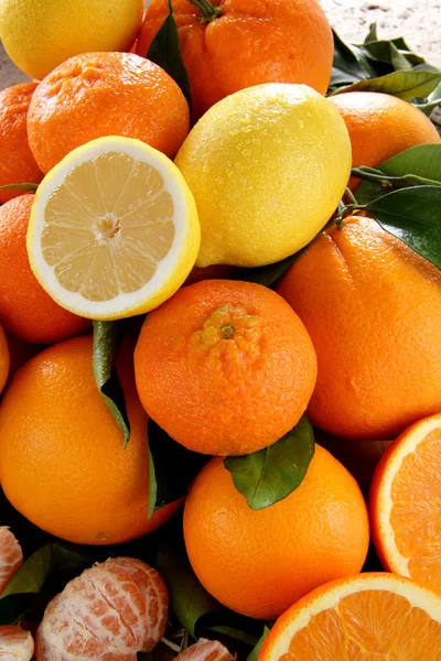 Meyve kompozisyonu whit limon portakal sonunda mandalina — Stok fotoğraf