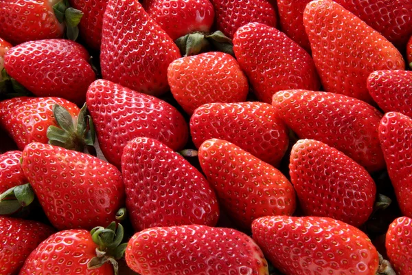 Σύνθεση με φράουλα φρούτα — Φωτογραφία Αρχείου