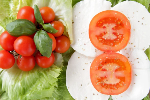 Caprese Mozzarella Tomate und Basilikum — Stockfoto