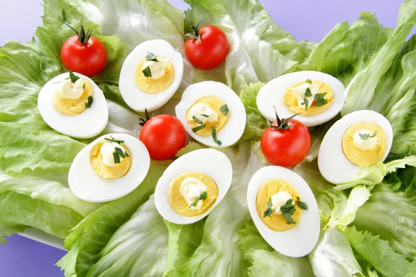 Eier Salat Ende Tomate — Stockfoto