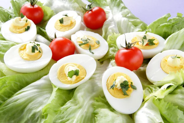 Яичный салат с помидорами — стоковое фото