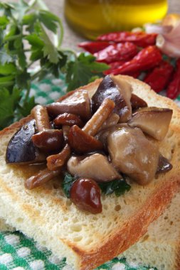 Bruschetta with mushrooms clipart