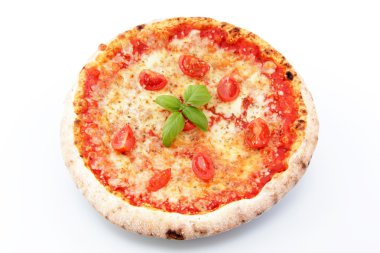 beyaz zemin üzerinde margarita pizza