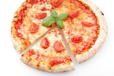 beyaz zemin üzerinde margarita pizza