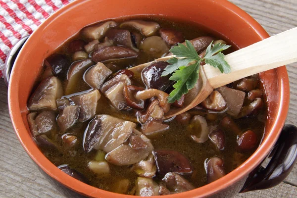 stock image A rustic dish with mushrooms