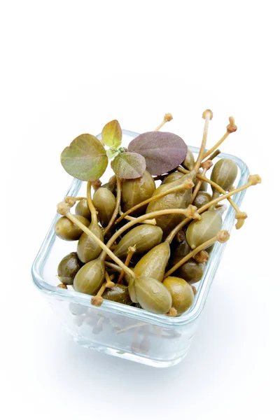 Fruit of the caper on a white background — Stock Photo, Image