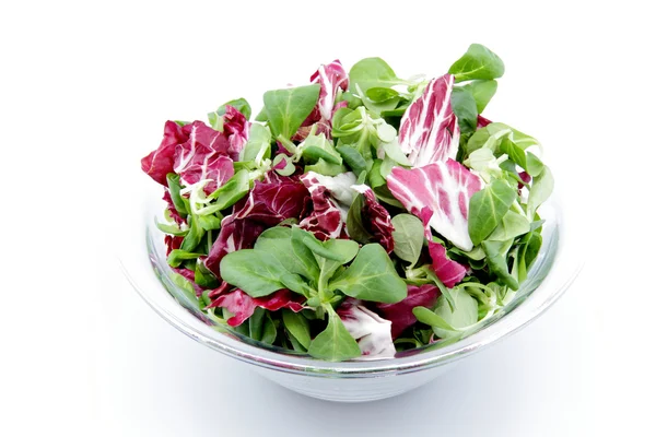 Смешанный салат с луком, помидоры на белом фоне — стоковое фото