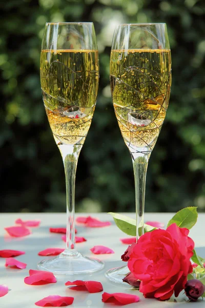 Champagne e rosa — Foto Stock