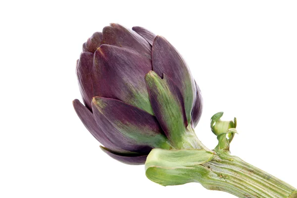 stock image Artichoke