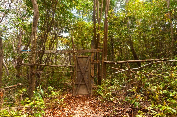 Drzwi w lesie na wyspie Obrazy Stockowe bez tantiem