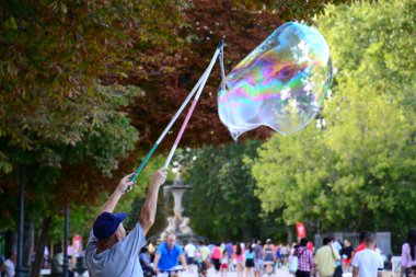 Soap bubbles clipart