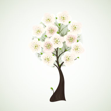 ışık çiçek ile sezon çiçekli ağaç