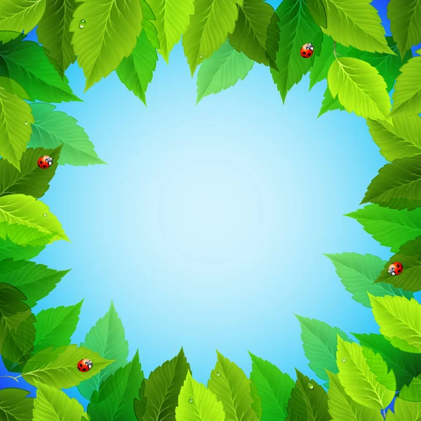 Bingkai dengan daun hijau segar dan ladybirds - Stok Vektor