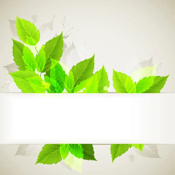 Tak met verse groene bladeren — Stockvector