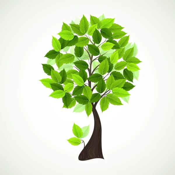 Saisonbaum mit grünen Blättern — Stockvektor
