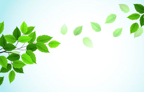 Ветка с зелеными листьями — стоковый вектор