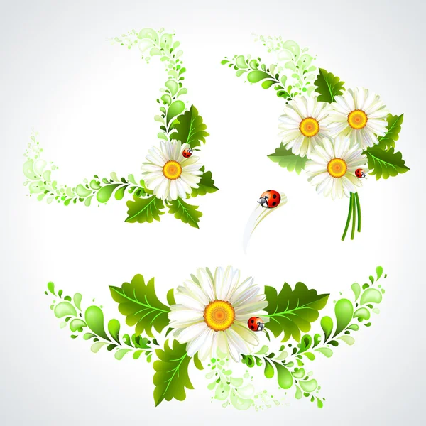 Ensemble de camomilles décoratives aux coccinelles — Image vectorielle