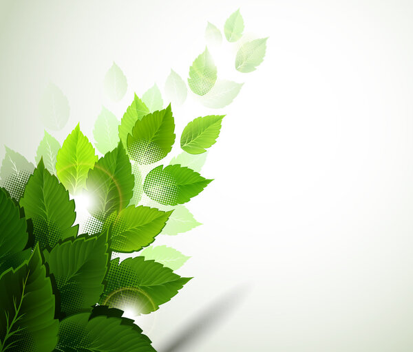 Фон со свежими зелеными листьями
