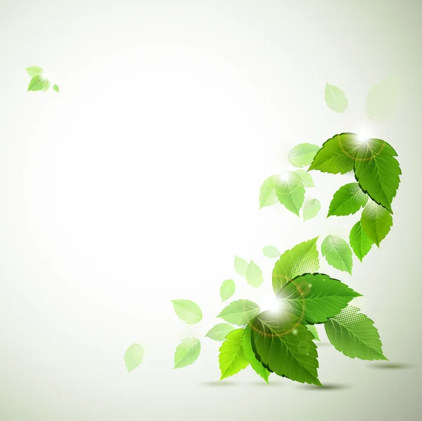 Fondo con hojas verdes frescas — Vector de stock