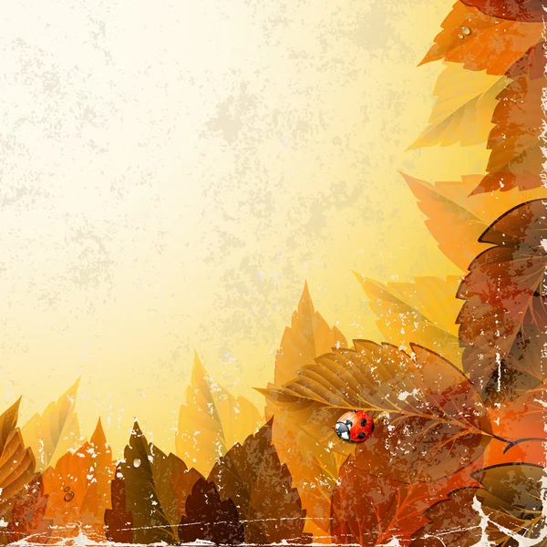 Bingkai dengan daun musim gugur tua dan ladybirds - Stok Vektor