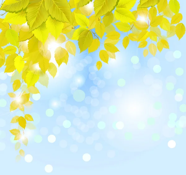 Ramo autunnale pendente con foglie fresche gialle — Vettoriale Stock