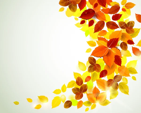 Podzimní žluté listy pozadí — Stockový vektor