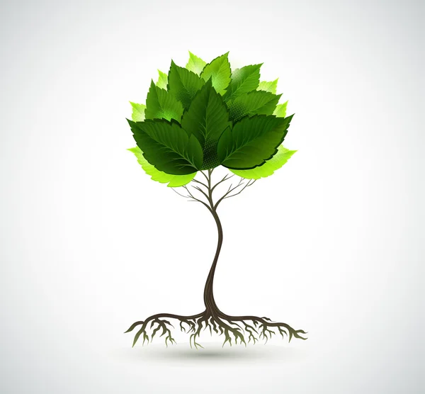 Sezóny mladý strom se zelenými listy — Stockový vektor
